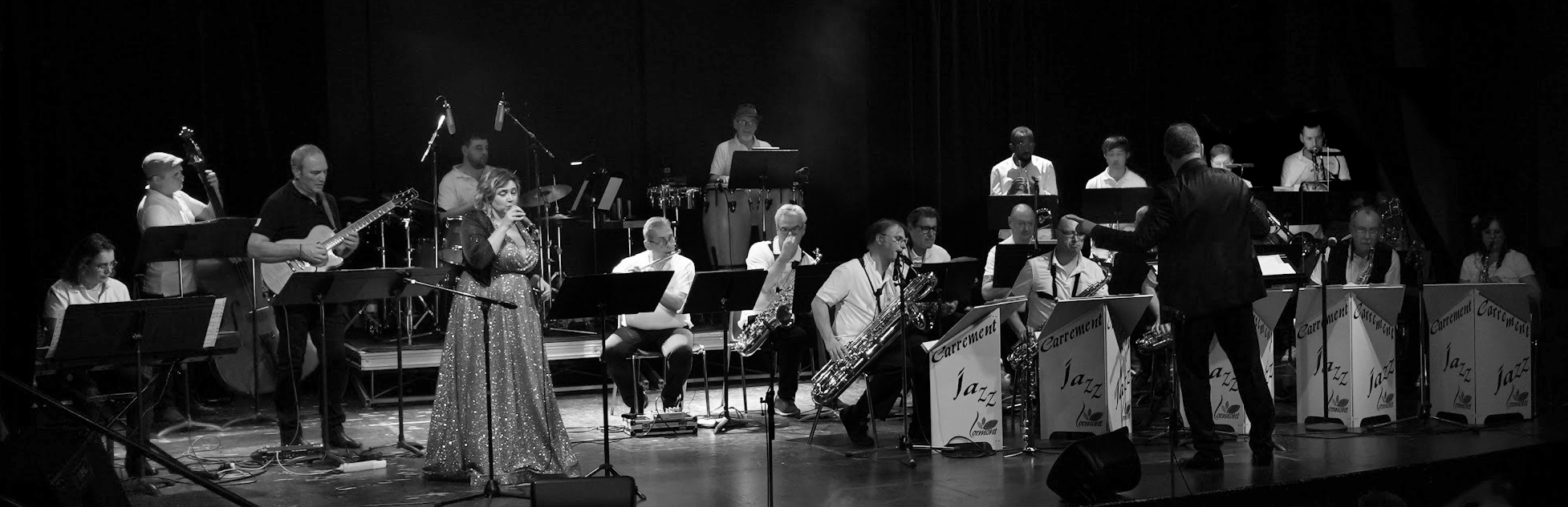 Photographie panoramique du Big Band Carrément Jazz en concert